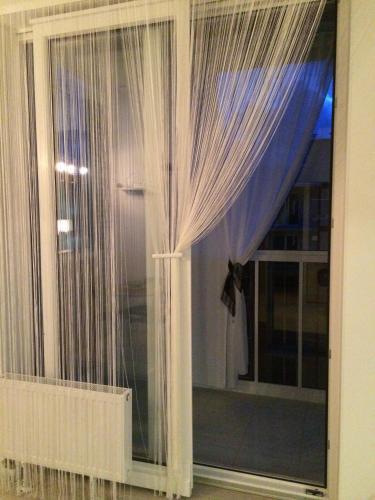 Apartment 87