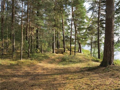 Apartamento Sunny Forest
