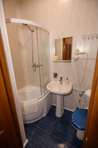 Hotel Tsentralnaia
