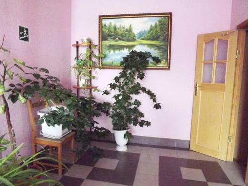 Tri Zvezdy Hotel