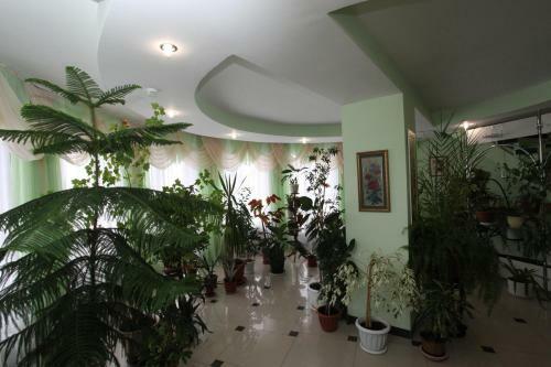 Hotel Georgievskaya