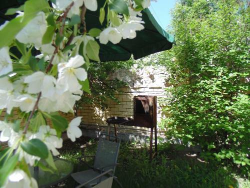 Hotel Solovinaya Roscha