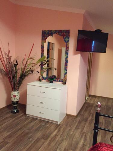 Hostal Vidnoye