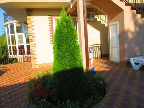 Hostal U Olgi Guest House