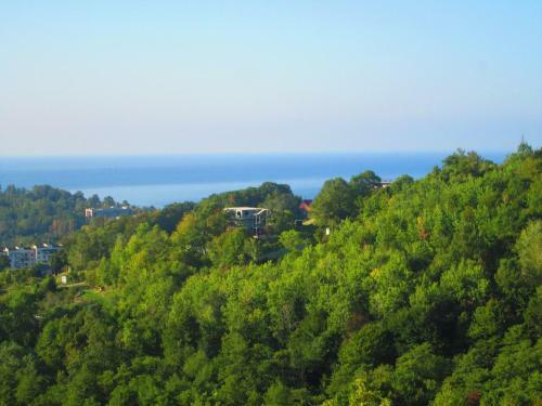 Hostal U Olgi Guest House
