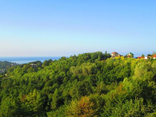 Hostal U Olgi Guest House