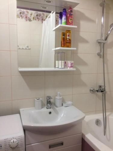 Apartment Vizit