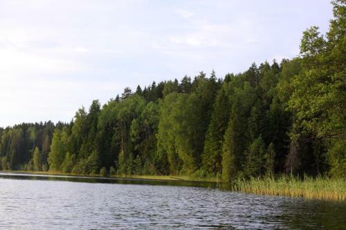 Berendeevo Tsarstvo