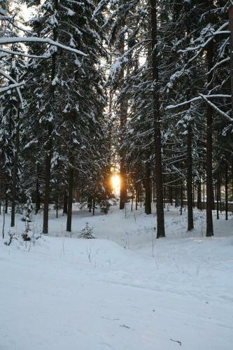 Berendeevo Tsarstvo