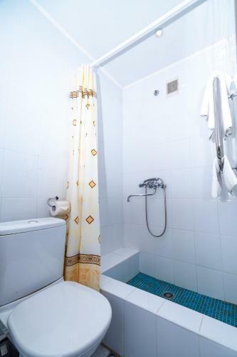 Zarya Hotel
