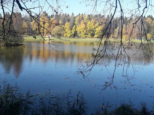 Sanatoriy Voronovo