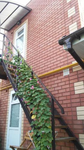 Apartments On Armavirskaya 61