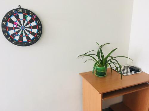 Arena Hostel
