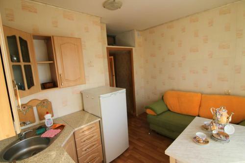 Apartment Na Serafimy Deryabinoy 30