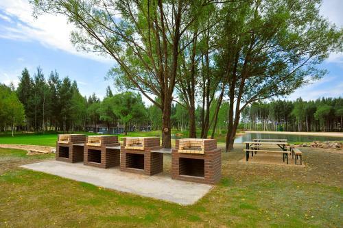 Campground Zavidovo