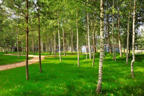 Campground Zavidovo