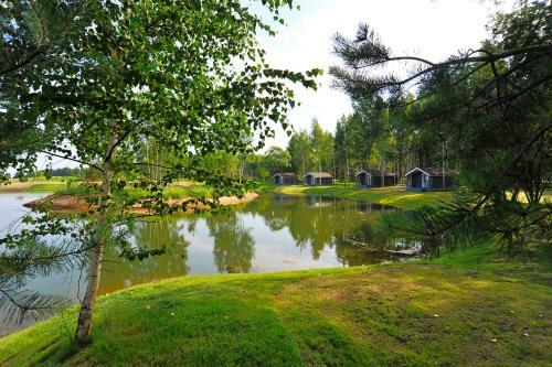 Campground Zavidovo