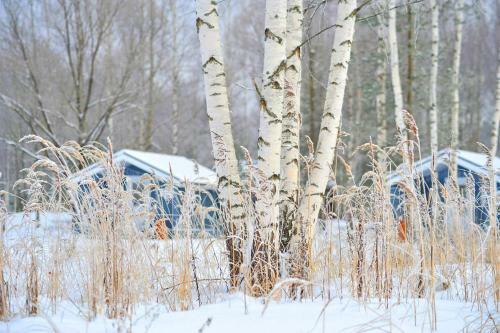 Campground Zavidovo