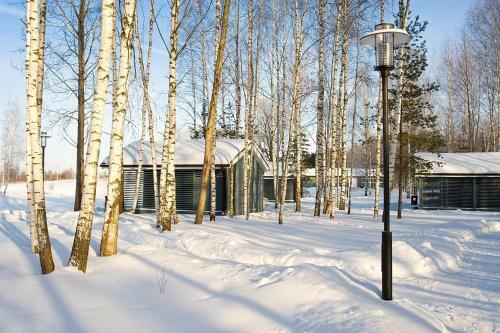 Campground Zavidovo