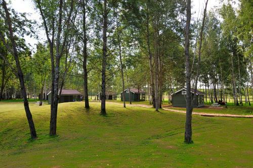 Campground Zavidovo