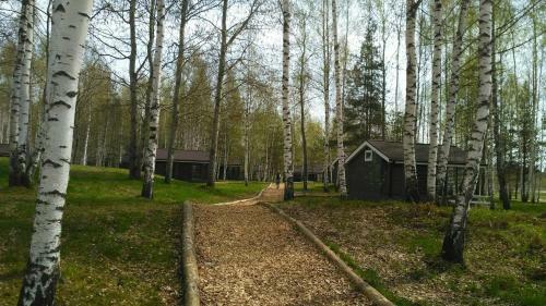 Campground Zavidovo