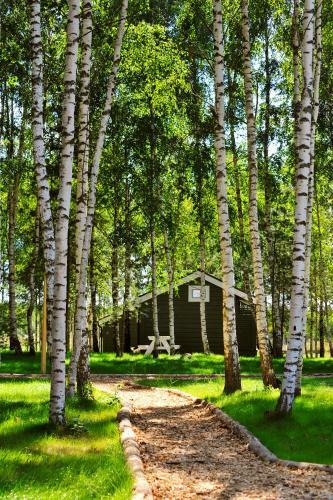Campground Zavidovo