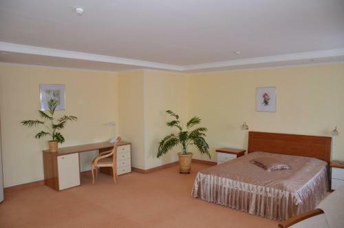 Hotel Zheleznogorsk