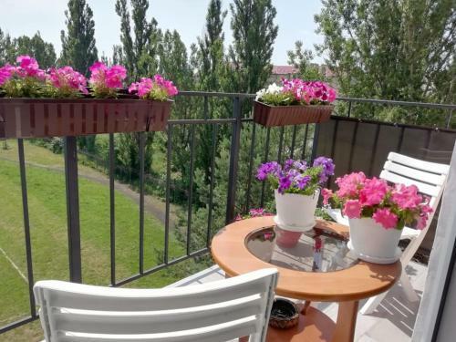 Apartment Parkoviy