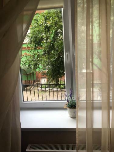 Apartment On Mosina 14