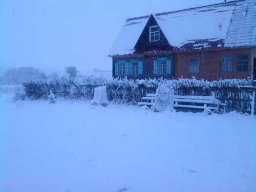 Hostal Guest House U Rodnika