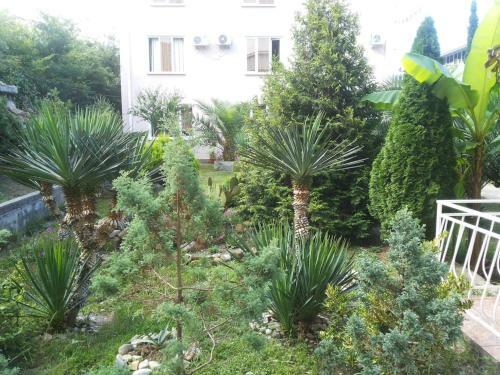 Hostal Guesthouse Svetlana