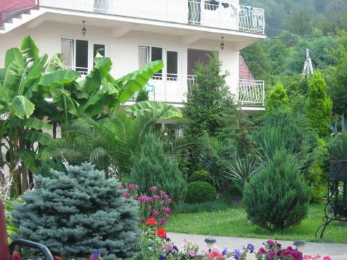 Hostal Guesthouse Svetlana