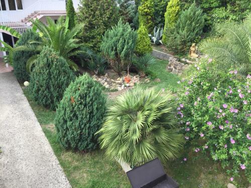 Hostal Guesthouse Svetlana