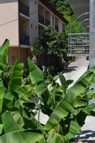 Hostal Aloiza Lux Guest House