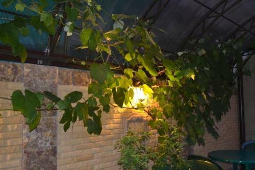 Hostal Solnechnyy Guest House