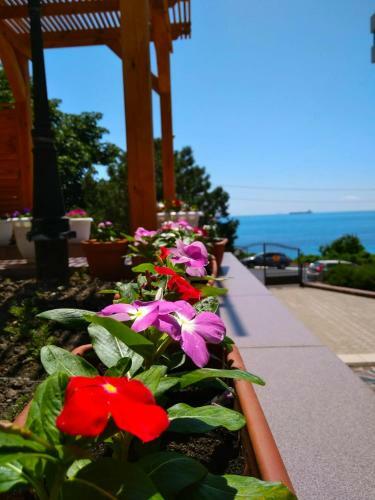 Hotel Sadko Baza Otdykha
