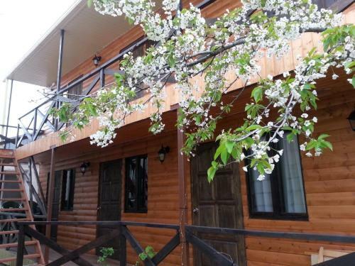 Hostal Uyutnyy Guest House
