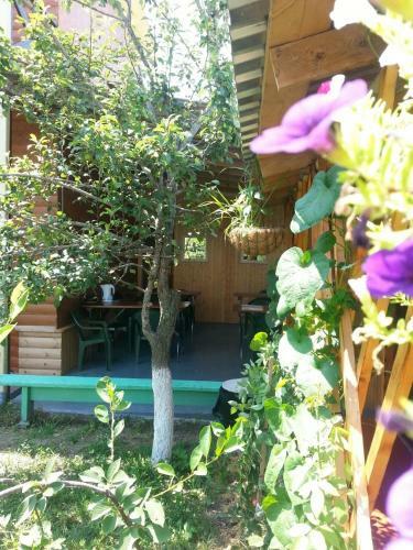 Hostal Uyutnyy Guest House