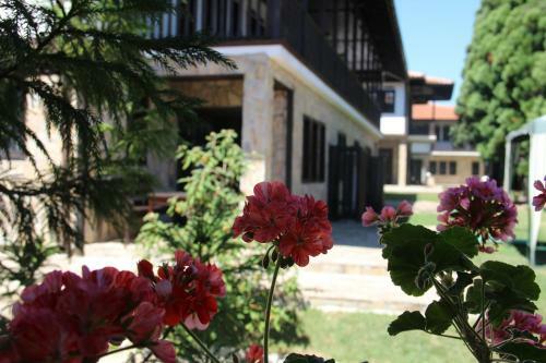 Hotel Holiday Village Kedar
