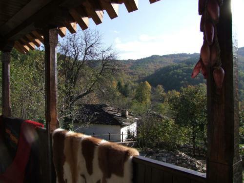 Hostal Stefanina Guesthouse