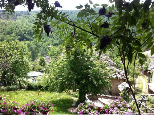 Hostal Stefanina Guesthouse