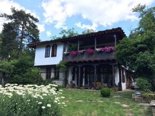 Hostal Stefanina Guesthouse