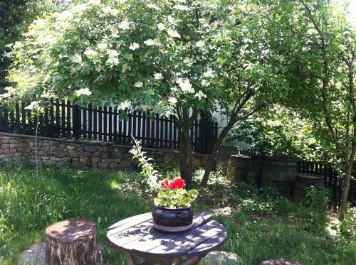 Hostal Stefanina Guesthouse