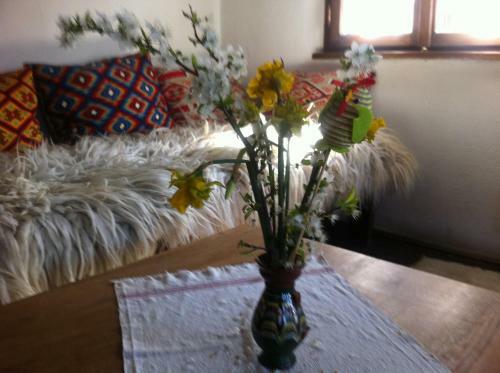 Hostal Stefanina Guesthouse
