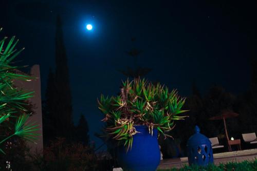 Hostal Ecrin De Mogador