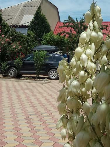 Hostal Guest House Morskaya 51