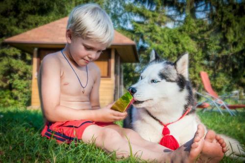 Husky House