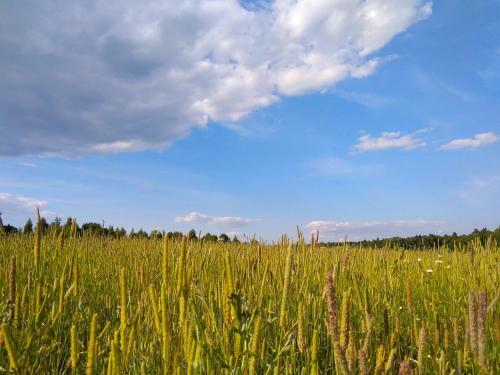 Agroturismo Eco-farm Polesye