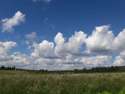 Agroturismo Eco-farm Polesye