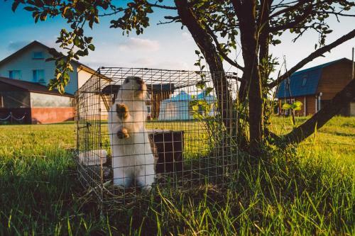 Agroturismo Eco-farm Polesye